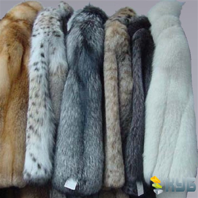 Посещение ярмарки меха Шуба Мания в СКК. Посещение ярмарки меха Шуба Мания в СКК.