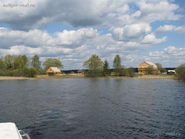 Продажа бизнеса на селигере частные объявления о продаже перепелок