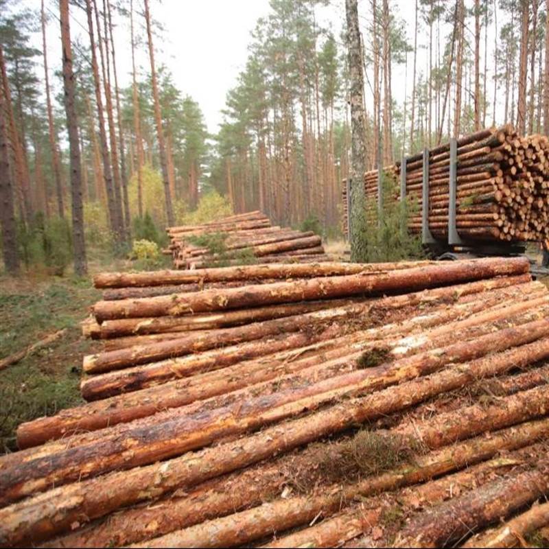 Фото продавца