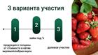 Клубника круглый год в Москву инвестируй