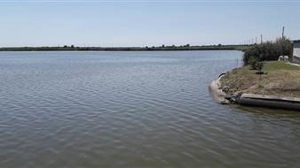 Продаём действующее прудовое рыбоводное хозяйство 