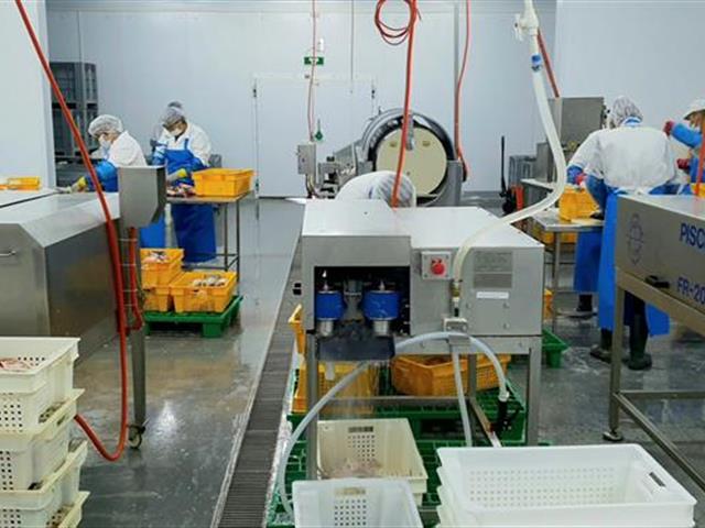 Производство и Экспорт рыбной продукции 