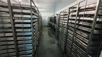 Производство и Экспорт рыбной продукции 