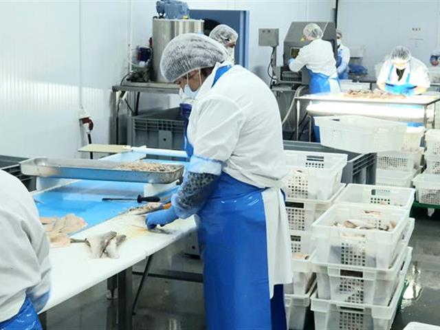 Производство и Экспорт рыбной продукции 