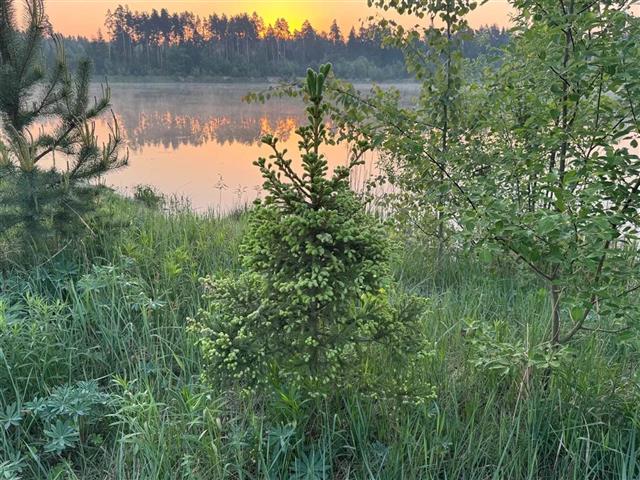 Загородный курортный комплекс