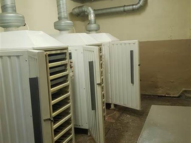 Производство по переработке ягод облепихи