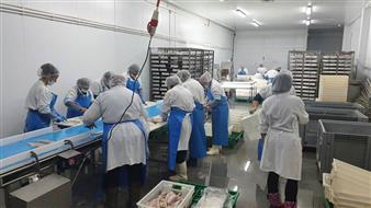 Производство и Экспорт рыбной продукции 