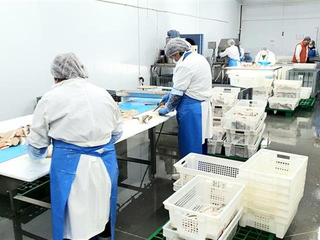 Производство и Экспорт рыбной продукции 