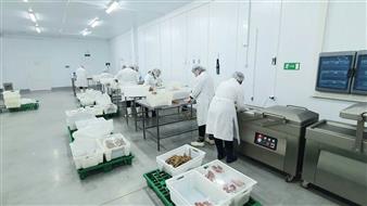 Производство и Экспорт рыбной продукции