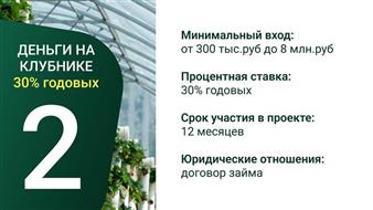 Клубника круглый год в Москву инвестируй