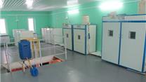 Перепелиная ферма в собственности и готовым рынком сбыта, 120 магазинов