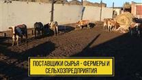 Продается Готовый действующий бизнес Мясокомбинат полного цикла