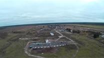 Лесозаготовка и Молочная ферма -  окупаемость 3 года. 