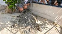 Готовый бизнес: турагентство, 15+ лет