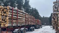 Лесозаготовка и Молочная ферма -  окупаемость 3 года. 