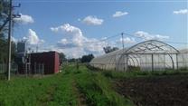 Тепличный комплекс Готовый бизнес теплица в Крыму