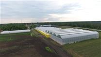 Продается производство овощей открытого и закрытого грунта