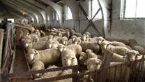 Продажа  прибыльного  Фермерского хозяйства в Ростовской обл.