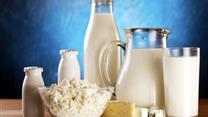 завод молочных продуктов
