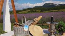Лавандовая Эфиромасличная ферма