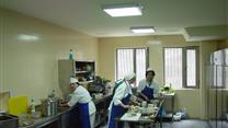 Комплекс Никала