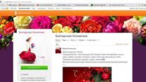 Продается интернет-магазин косметики 