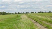 Продам земельный участок 29 ГА.