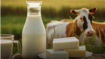 90-летний бизнес по производству молочных продуктов