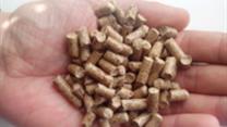 Продается производство топливных гранул