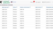 Интернет-магазин 219т.р/м с пакетом документов