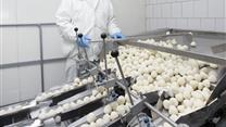 Продам бизнес в Польше с доходом 15000 евро в месяц