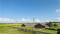 Агрокомплекс 81Га. Животноводство, складско-логистический хаб