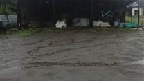  Продажа с/х комплекса 6101г со всеми лицензиями и документами