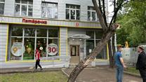 Субарендный Бизнес в Москве.