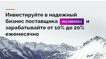 Действующий бизнес - Wildberries. Доля - 10%