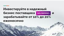 Действующий бизнес - Wildberries. Доля - 10%
