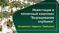Клубника круглый год в Москву инвестируй