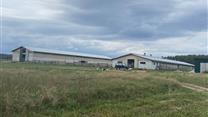 Продажа овцеводческой фермы в Нижегородской области