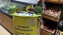 Производство и реализация микрозелени в юфо
