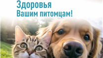 Прибыль 570К/Производство и продажа зоотоваров