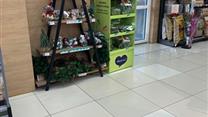 Производство и реализация микрозелени в юфо