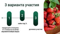 Клубника круглый год в Москву инвестируй