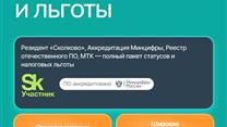 IT-актив с налоговыми льготами и выручкой