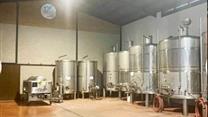 Продажа винодельни в Ла-Манче