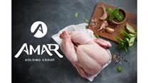 Реконструкция и модернизация птицефабрики