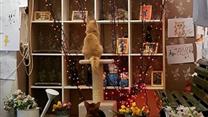 Музей Кота и Котокафе