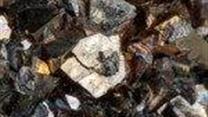 Проект по добыче золота