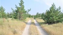 Продам участок 1 га, земли сельхозназначения (СНТ, ДНП), 55 км до горо