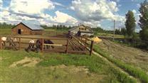 Крестьянское фермерское хозяйство полного цикла