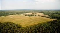 Пилорама. Земля 9Га в собственности